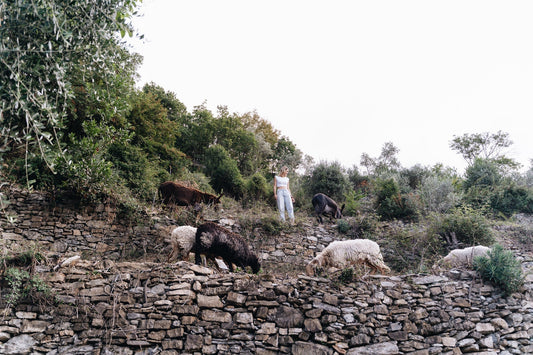 Trovare la felicità in campagna: la storia di Martina Bianchi