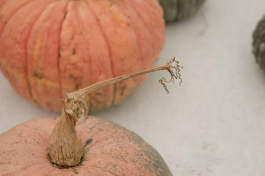 Riciclo in cucina: ecco come utilizzare tutte le parti della zucca